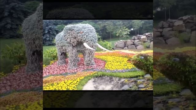 Выставка цветов. "Планета диких зверей", Певческое поле, Киев 2021, Украина смотреть онлайн