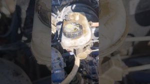 ГаЗеЛь Некст пропала сцепление