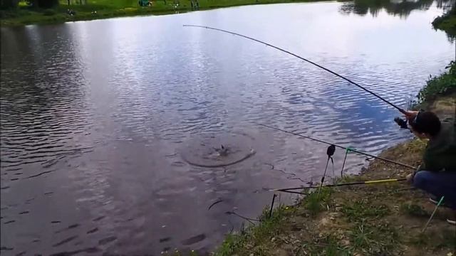 Как мы ездили за карпом в Бухловку смотреть онлайн