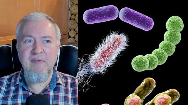 Алексей Водовозов. Необычные источники антибиотиков смотреть онлайн
