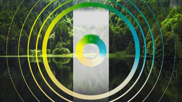 Телеканал QUADRO