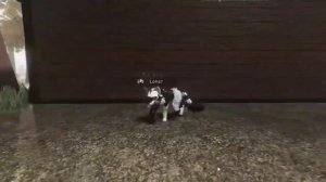 Подготовка к РП( ролевой игре) в Котах Воителей ROBLOX!