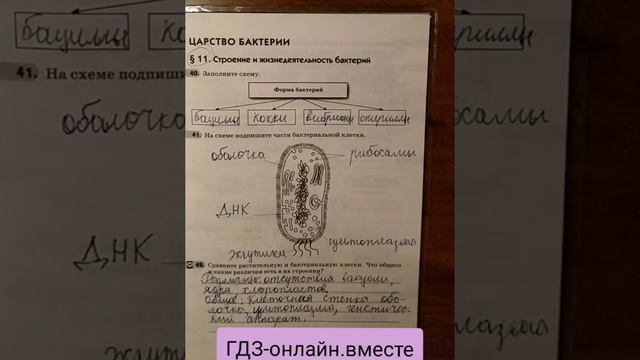 ГДЗ. Биология. 5 класс. В.В. Пасечник. Рабочая тетрадь. Параграф 11 смотреть онлайн