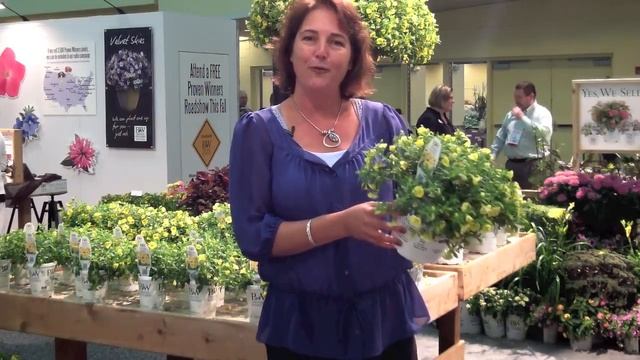 Superbells Lemon Slice - a must have Calibrachoa смотреть онлайн