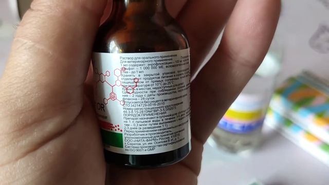 Привезли индюшат, что теперь с ними делать?? смотреть онлайн