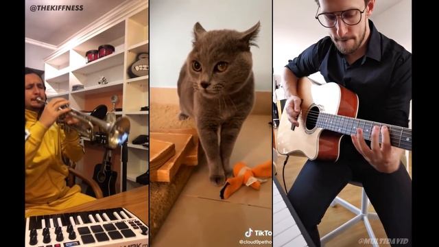 The Kiffness X Alugalug Cat 2.0 X MultiDavid (Please Go Away) Piano Guitar Voc