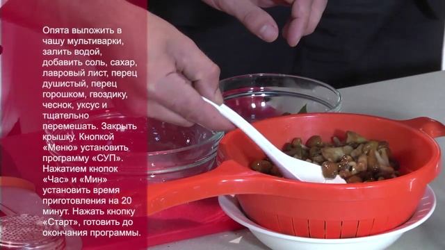 «Готовим в мультиварках REDMOND». Тема -- «День грибника». Рецепты для мультиварки смотреть онлайн