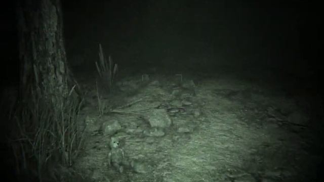 Outlast 2 начало #1 смотреть онлайн