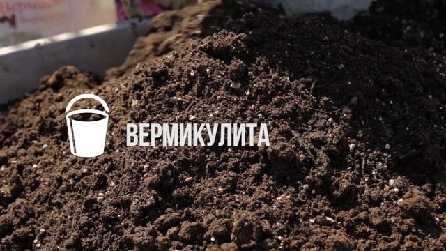 Как правильно подготовить грунт для посадки роз смотреть онлайн