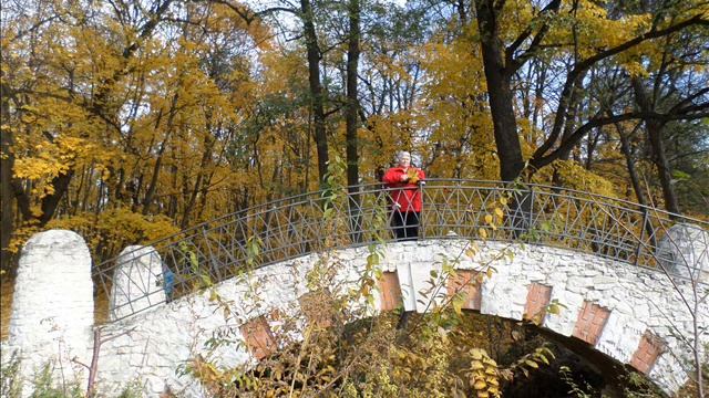 Листья желтые смотреть онлайн