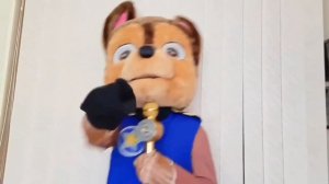 ФЕДЕРИКО ФЕЛЛИНИ VS ЯГОДКА МАЛИНКА  ЩЕНЯЧИЙ ПАТРУЛЬ ГОНЩИК