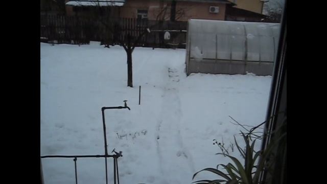 Готовлю/ Какая погода/ Цветы/ Насыпали синицам/ Кот/ Муж поймал рыбу смотреть онлайн