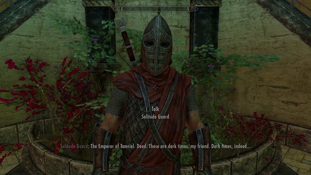 Guards reaction to Penitus Oculatus armor. Skyrim Special Edition смотреть онлайн