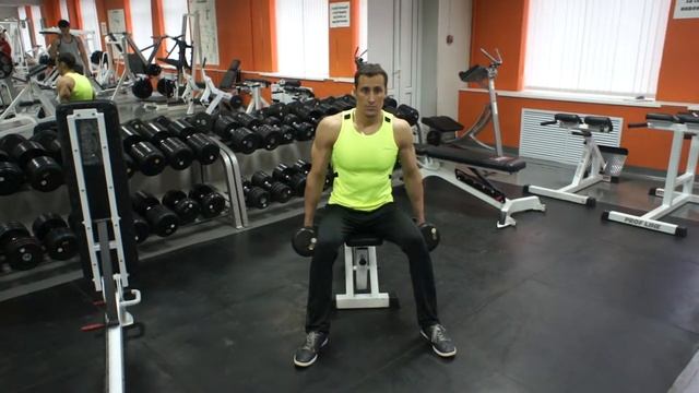 Поочередное сгибание рук с гантелями сидя смотреть онлайн