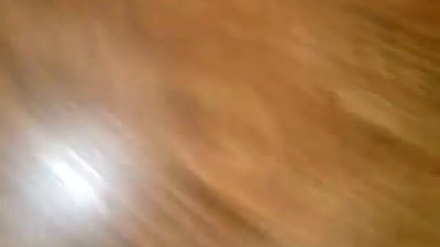 Моя собака Фокси смотреть онлайн