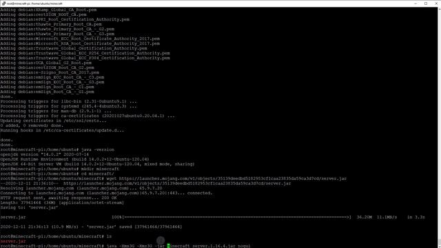 Raspberry Pi als Vanilla Minecraft Server mit mehr als 2GB RAM смотреть онлайн