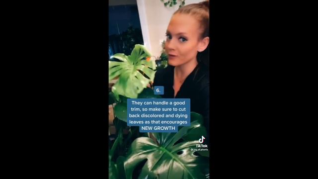 Planttok Plant Care Tips, Tricks and Hacks Part 12 смотреть онлайн