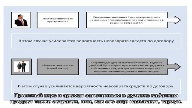 Чем приправить кабачки, запеченные в духовке