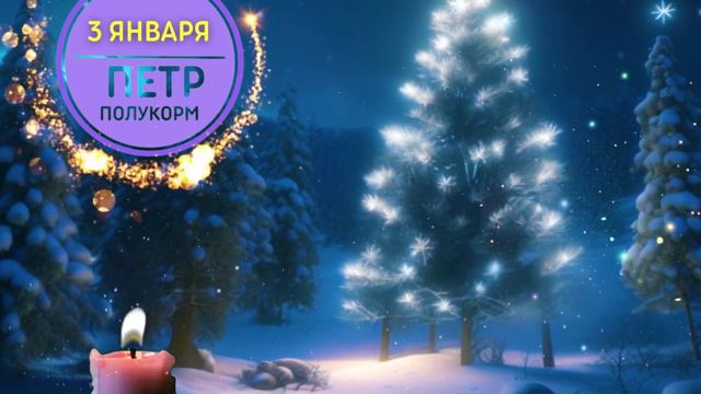3 ЯНВАРЯ 🌲 МОЖНО ЛИШИТЬСЯ ЗРЕНИЯ И СЛУХА. ПЕТР ПОЛУКОРМ. Что можно и нельзя делать смотреть онлайн