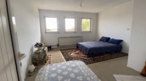 ДОМ В СЕРБИИ ЗА 500000€ //НОВИ САД