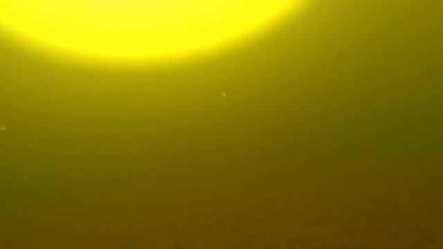Подводные съёмки | Окунь под водой | Зимняя рыбалка | Селетинское водохранилище смотреть онлайн