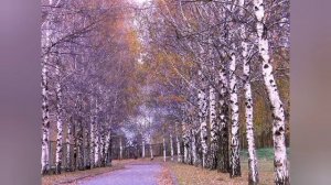 ПОСМЕРТНЫЕ ЧУДЕСА ПРЕПОДОБНОЙ БОРОДИНСКОЙ СТАРИЦЫ РАХИЛЬ