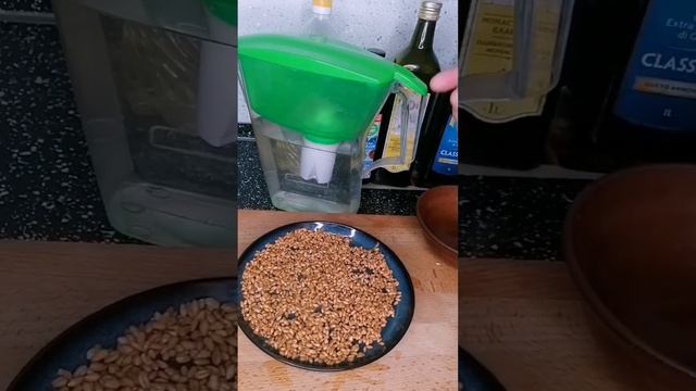 Проращиваю пшеницу! смотреть онлайн