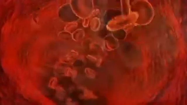 Oral bacteria may trigger preterm birth смотреть онлайн