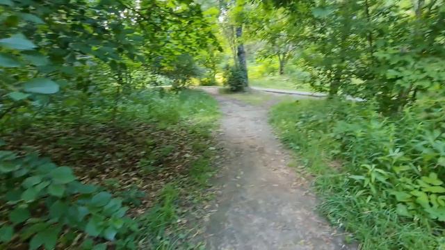 Белки, леший, дед пердун, прогулка по парку. смотреть онлайн