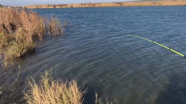 Рыбалка на канале Ставропольский край Ловим хищника. Новинка для Ларгуса. смотреть онлайн