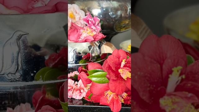 New article in Aromatika magazine #aromaticwriter #scentedstories #flowerdistillation #flowers #lov