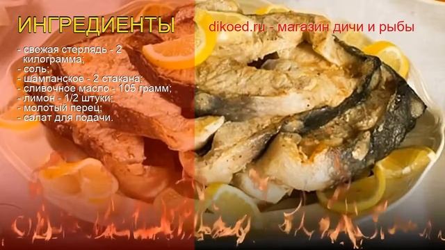 Влоги с Путешествиями