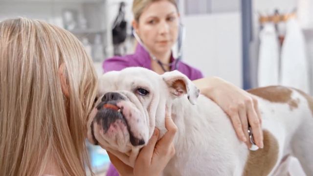 Как Сделать Креативно