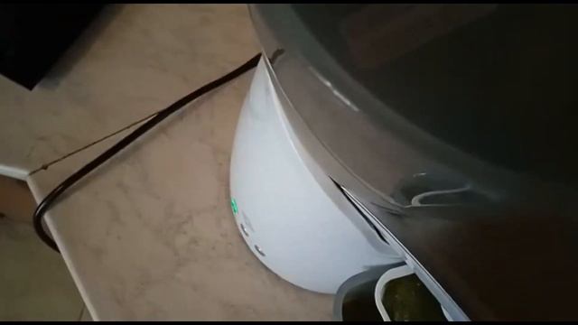 Отжим тыквенного масла часть 1 смотреть онлайн