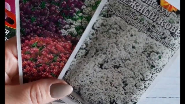 КАКИЕ ЦВЕТЫ буду СЕЯТЬ в 2022г. ПЕРЕСМАТРИВАЮ СЕМЕНА смотреть онлайн