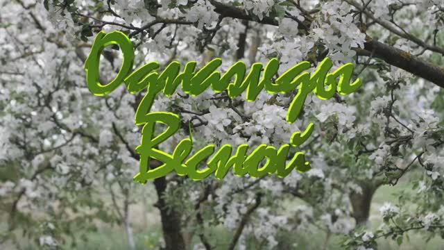 Однажды весной / авторская композиция / Максим Кинжал 2022 г. смотреть онлайн