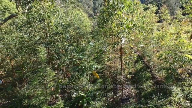 My Systems - The Root Beds смотреть онлайн