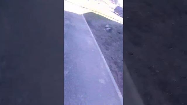 Каменногорск смотреть онлайн