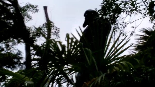 длинная лестница к морю санаторий Сочинский военный смотреть онлайн