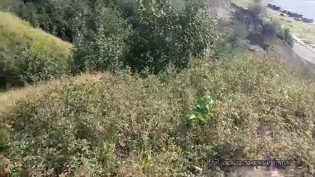 Лысая гора смотреть онлайн