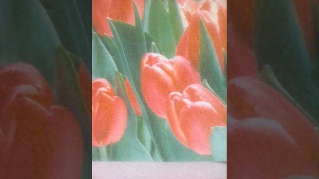 Стих. Весна, дарует нам любовь! смотреть онлайн