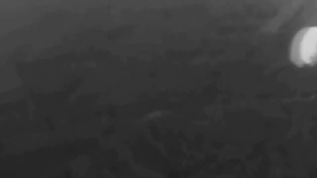 К Дню Победы, помните, какой подвиг совершили наши деды и отцы смотреть онлайн