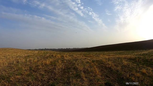 RC Крестолет Edge 540.