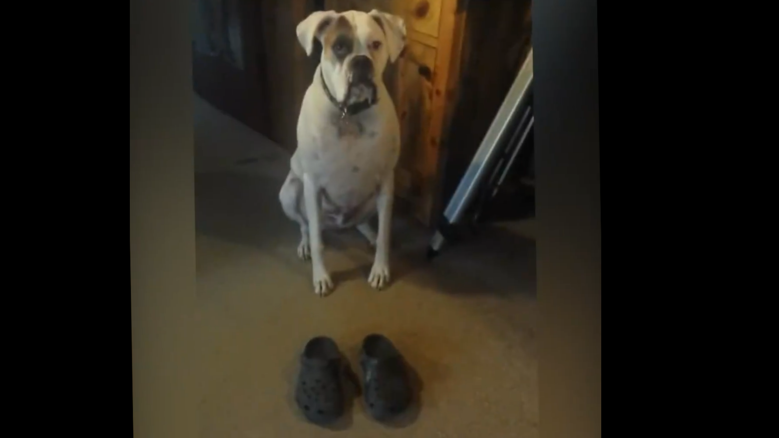 То чувство, когда надел новую пару обуви смотреть онлайн