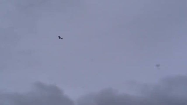 ЭдикшинХ Алексеича(Поломка в воздухе) Мастерство СТАСА по спасению МОДЕЛИ-Великие Луки 2014г смотреть онлайн