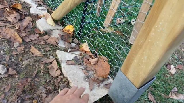 Обустройство небольшого курятника. Советы новичкам от новичка. смотреть онлайн