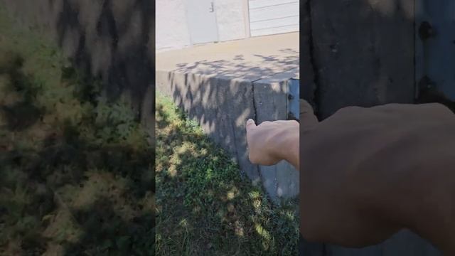 TREK Marlin 6 upgrades смотреть онлайн