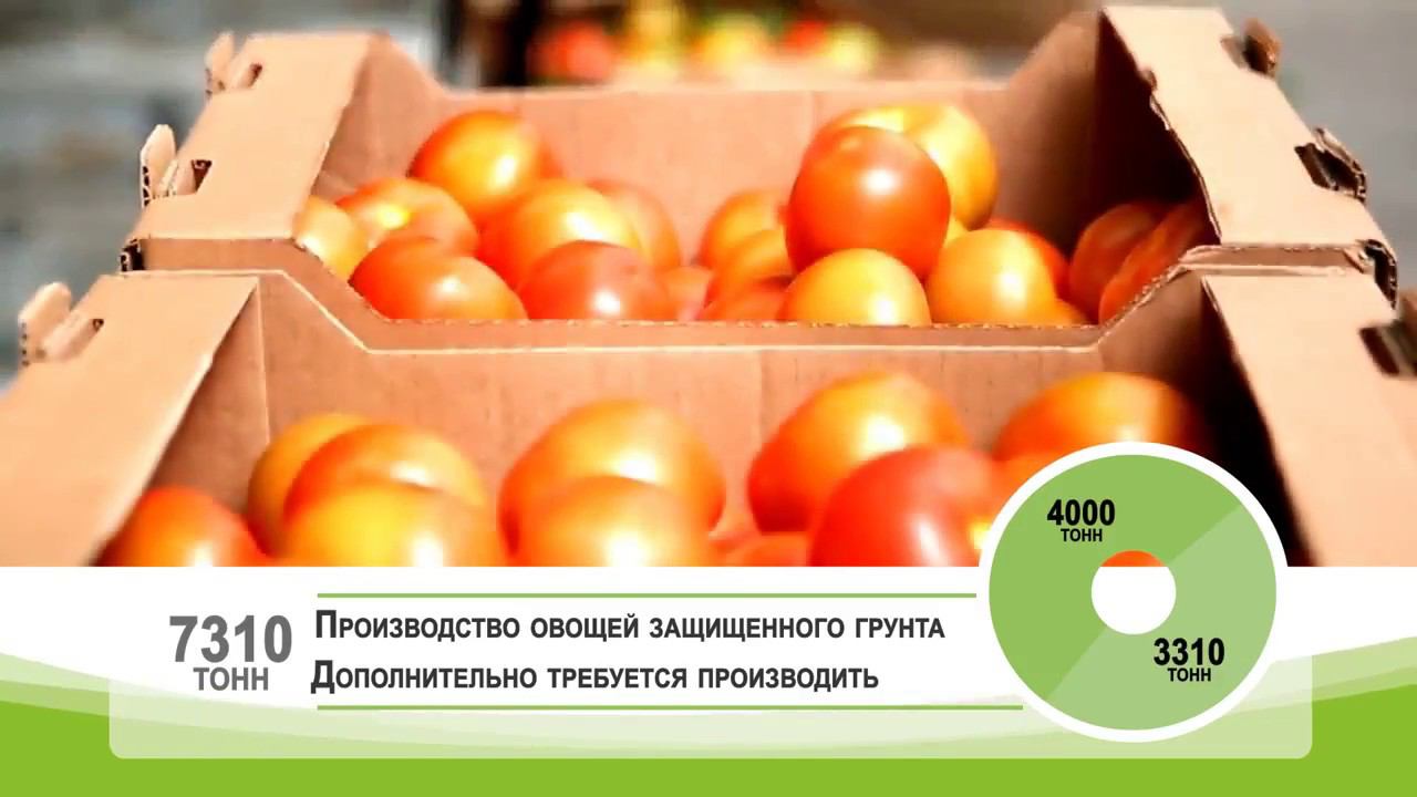 АО Совхоз Тепличный ТОСЭР Сахалинской области смотреть онлайн