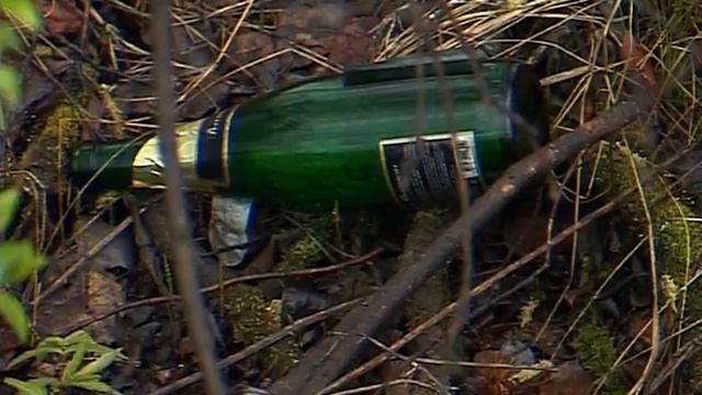 Салдинским молодожёнам подарили беседку смотреть онлайн