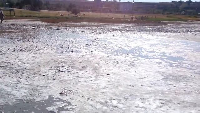 Куяльницкий лиман смотреть онлайн